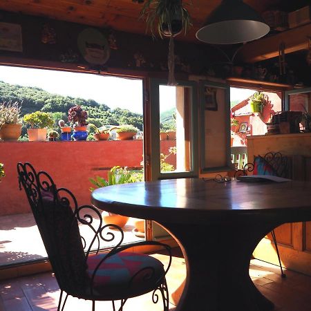Chambre D'Hotes Le Rougeyras Roquebrun Εξωτερικό φωτογραφία