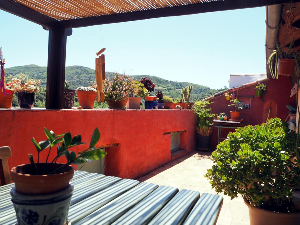 Chambre D'Hotes Le Rougeyras Roquebrun Εξωτερικό φωτογραφία